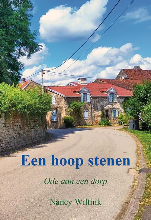 Nancy Wiltink Een hoop stenen -   (ISBN: 9789463657976)