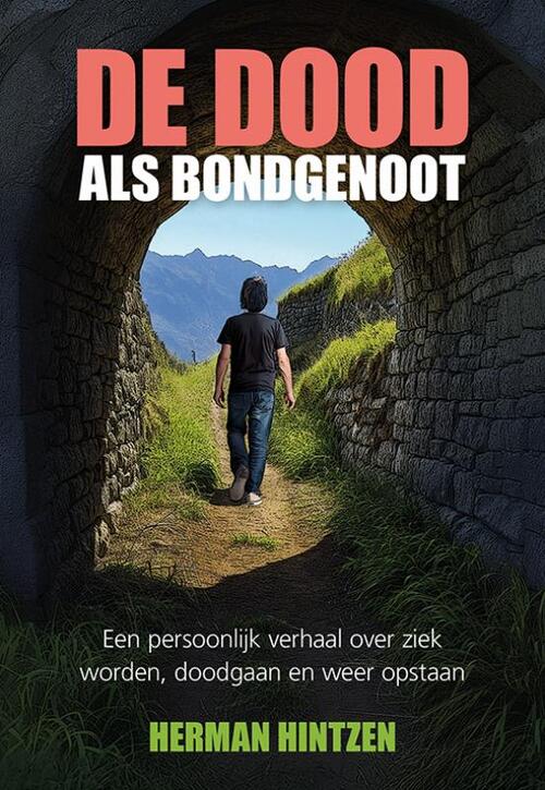 Herman Hintzen De dood als bondgenoot -   (ISBN: 9789463658126)