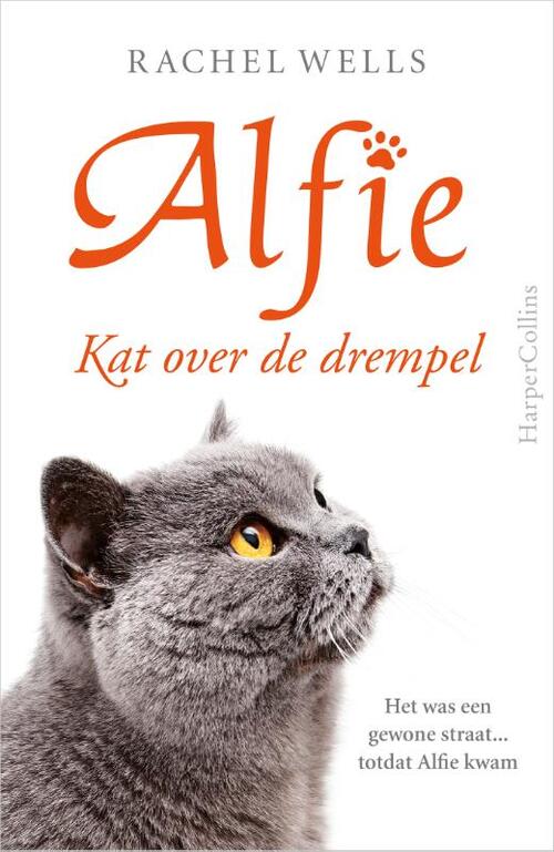 Rachel Wells Alfie - Kat over de drempel -   (ISBN: 9789402702859)
