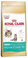 Royal Canin Breed Royal Canin Kitten Maine Coon kattenvoer 4 kg