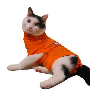 Medical Pet Shirt Kat Oranje - S