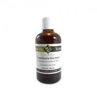 De Groene Os Scutellaria tinctuur paard & pony 100ML