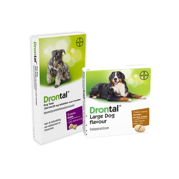 Bayer drontal tasty ontworming hond