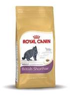Royalcanin British Shorthair Adult - 4 kg