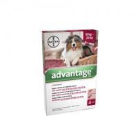 Advantage 250 hond 10-25kg