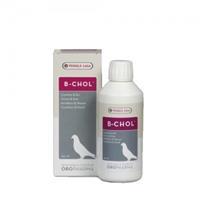 Biochol (B-chol) - 500 ml
