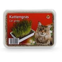 kattengras plastic box - Kattensnacks - 130Â gram