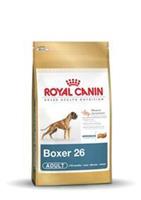 Boxer Adult - 12 kg