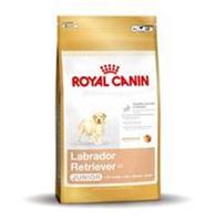 Royal Canin Breed Royal Canin Puppy Labrador Retriever Hundefutter 2 x 12 kg