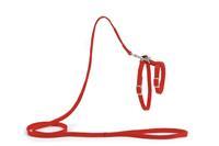 Beeztees - Kattentuigje - Nylon - Rood - 130 cm x 10 mm