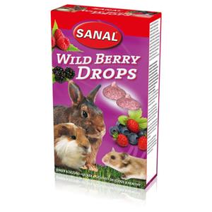 Wild Berry Drops - Knaagdiersnack - 45 g