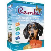 renske Vers Verse Zalm Graanvrij Hond 10x395gr