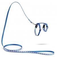 Petproducts Nylon Kittentuig Hearts Blauw Kattenhalsband & -tuig