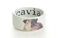 Snapshot Cavia - Voerbak - 10X4 - Wit