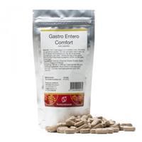 Sensipharm Gastro Entero Comfort - Paard