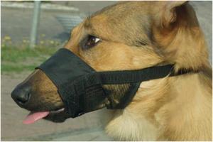 Beeztees Comfort Muilband - Hond - XL - 20-27 cm