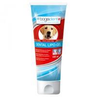 Bogadent Dental Lipo Gel 100ml