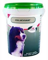 Primeval Gelatine für Hunde 500 Gramm