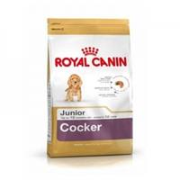 Royal Canin Breed Cocker Junior - 3 kg