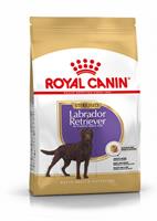 Royal Canin Sterilised Adult Labrador Retriever Hundefutter 3 kg