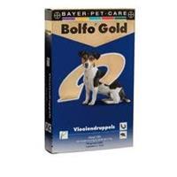 Bolfo Gold Hond 100 - 4 Pipetten