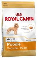 Royal Canin Breed Royal Canin Adult Pudel Hundefutter 1.5 kg