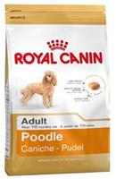 Royal Canin Breed Royal Canin Adult Poodle hondenvoer 1,5 kg