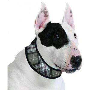 Aqua Coolkeeper Halsband XS Scottish Grey