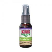 KONG kat Catnip spray op kaart - Kong