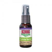 Kong Catnip Spray Kattengedrag & -training