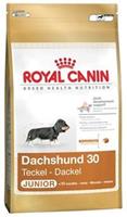 Royal Canin Dachshund Junior Hundefutter 1.5 kg