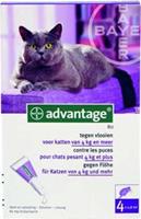 Advantage 80 kat >4 kg - 4 pipetten