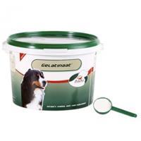 Primeval Gelatinaat Hond (2kg)