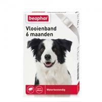 Beaphar Floh-Halsband Hund Weiß