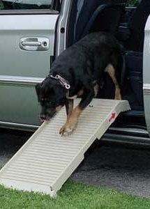 Dogstep Halfstep hondenloopplank