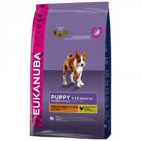 Eukanuba Puppy Medium Breed Fresh Chicken 12kg