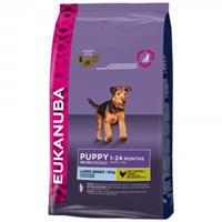 Eukanuba Puppy Groot Ras 12 kg