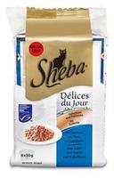 Sheba Délices du Jour Vis Selectie in Saus 50 gr Per 6