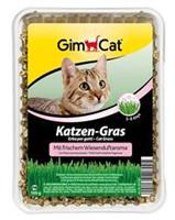 Kattengras met Weilandgeuraroma - 150 gram