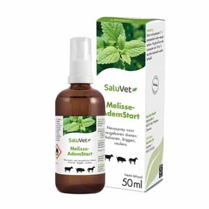 Ecostyle Melissengeist ademspray - 50 ml