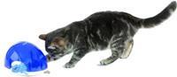 Cat Activity Snack Box Strategisch Spel