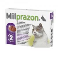 Milprazon - große Katze (16 mg) - 2 Tabletten