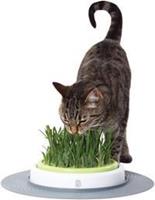 cat-it Catit Senses Grass Garden Kit
