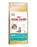 Royal Canin Maine Coon voer voor kitten 400gr