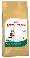 Royal Canin Maine Coon Kitten - 10 kg