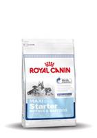 Royalcanin Maxi Starter Mother & Babydog - 4 kg