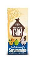 Gerty Guinea Pig Scrummies - Knaagdiersnack - Appel&Cranberry
