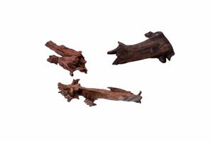 Aqua D'ella Jati hout Small