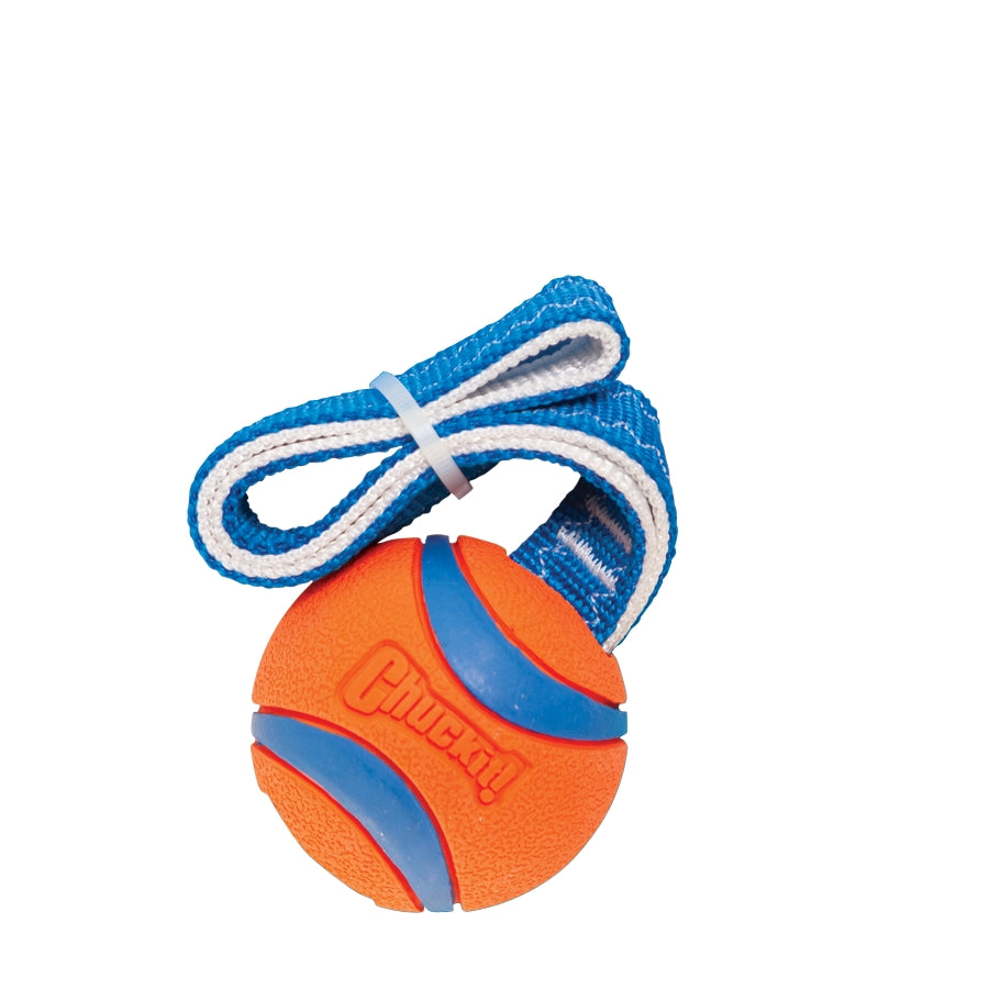 CHUCKIT ULTRA TUG MEDIUM