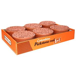 Piksteen Rood - Duivensupplement - 6x650 g Tray 5+1